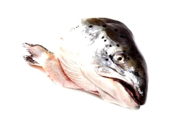 Fresh Salmon Head (1Pcs)