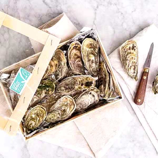 新鲜泽西岛生蚝1pack