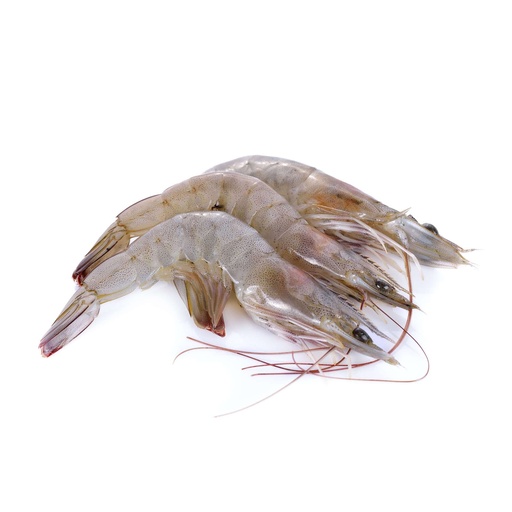 新鲜大虾1kg