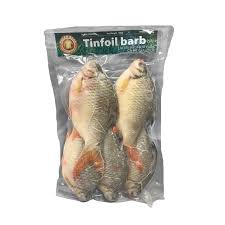 [ Frozen Tinfoil Barb Fish] 