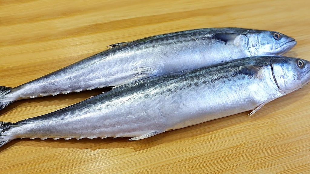 King Fish/Kingfish 1KG