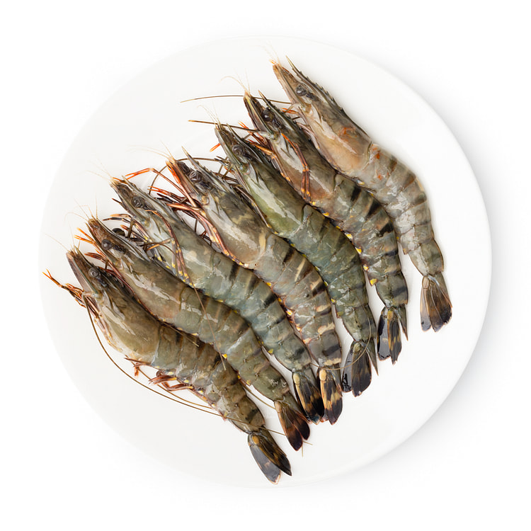 RAW Head On Tigers800g