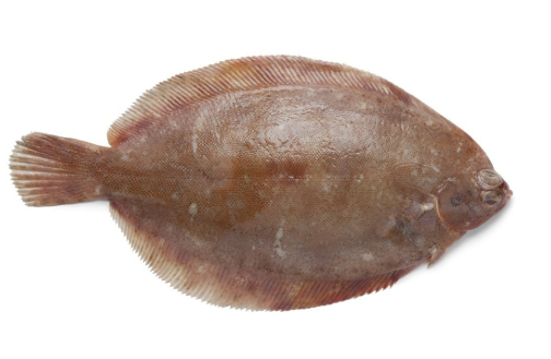 Sole 1KG