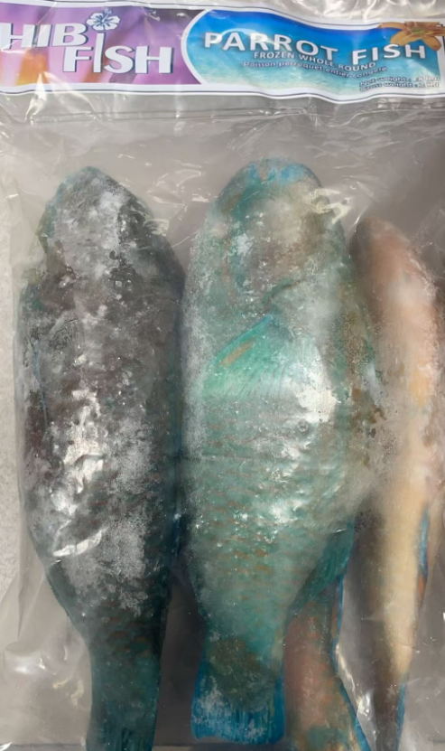 Frozen Parrot fish 1.8KG