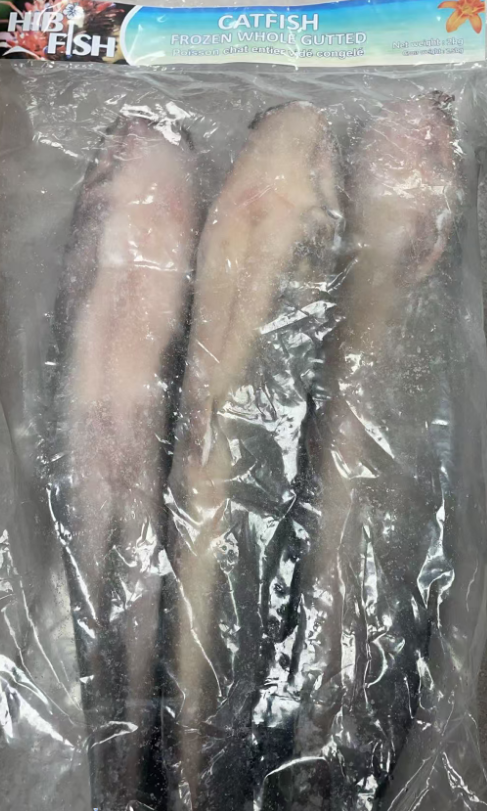 冷冻整条去内脏鲶鱼2.5KG