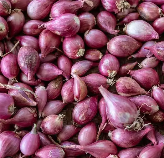 红葱头1KG