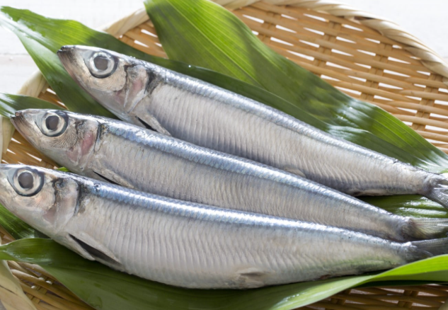 Fresh Herring 1KG
