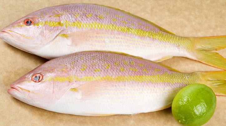 新鲜笛鲷1KG