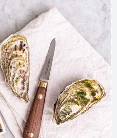 Fresh Medium Jersey Oyster 1Pc