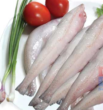  Bombay Duck Fish 1KG