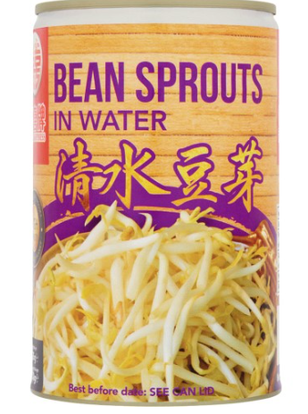 DOUBLE HAPPINESS Bean Sprouts in Water 425G
