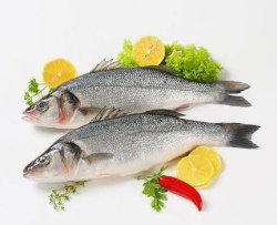 Wild Seabass 1KG